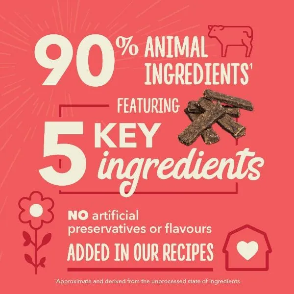 ACANA Chewy Strips Dog Treats - Hip & Joint Support Beef Recipe