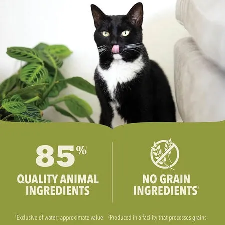 ACANA Premium Pate Lamb & Lamb Liver Recipe Canned Cat Food