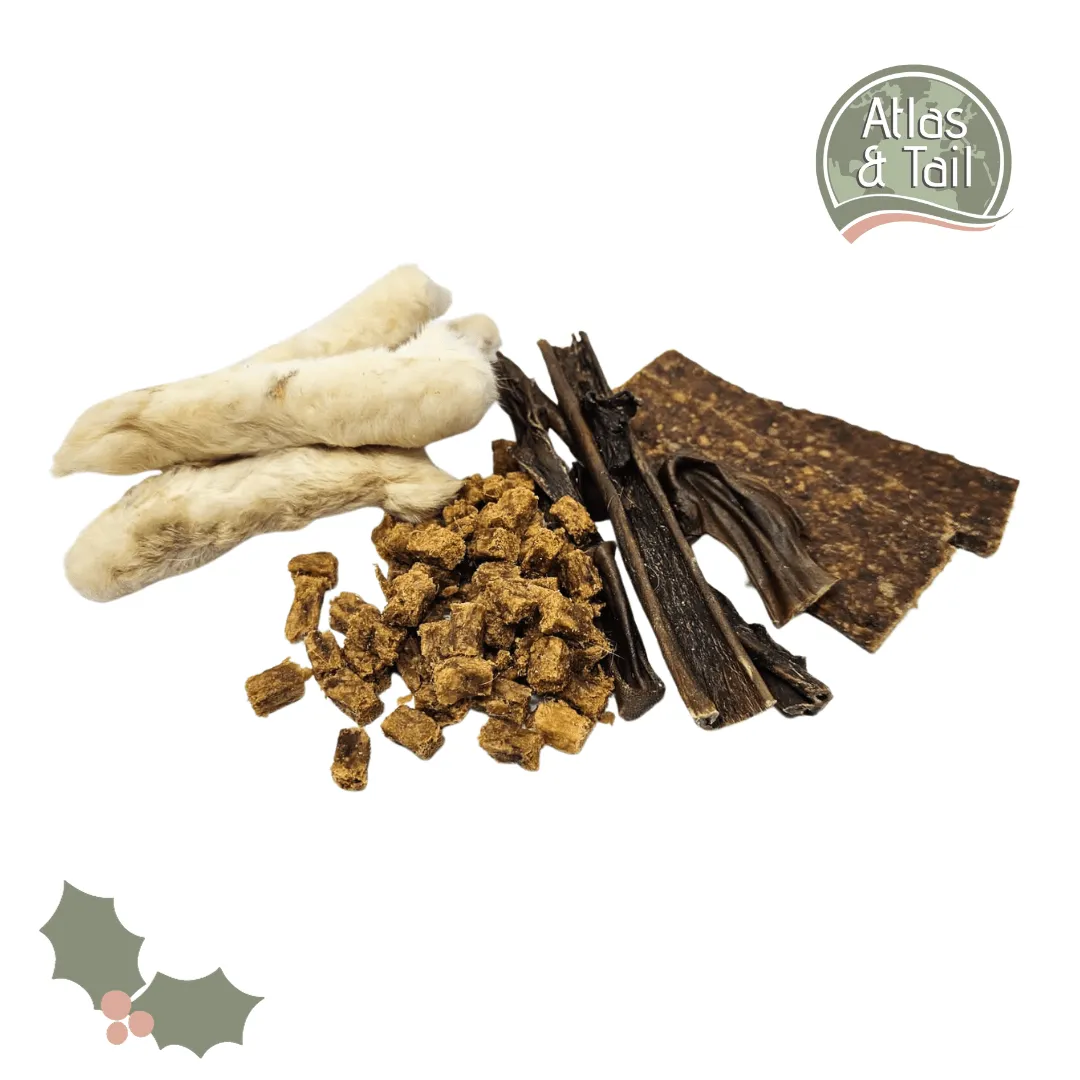 Atlas & Tail The Novel Nibbles Christmas Dog Treat Box