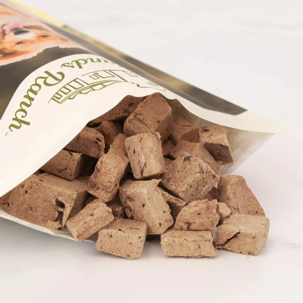 Badlands Ranch Freeze-Dried Superfood Bites Beef Liver Dog Treats