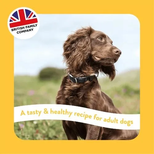 Burgess Supadog Adult Dog Food with Chicken 15kg