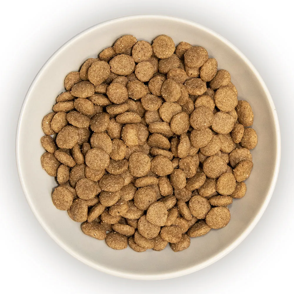 Burns Adult Cat Original with Chicken & Rice