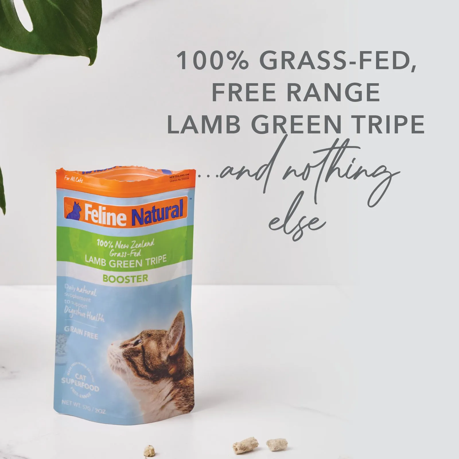 Feline Natural Lamb Tripe Freeze Dried Cat Food Booster 57g^^^