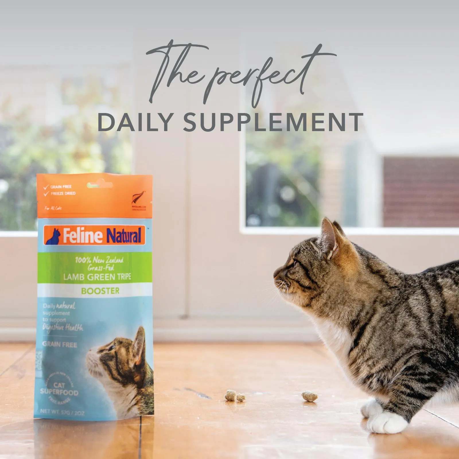 Feline Natural Lamb Tripe Freeze Dried Cat Food Booster 57g^^^