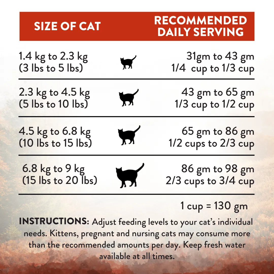 Forest Meat Premium Venison Recipe Dry Cat Food - Trial Pack Bundle of 12
