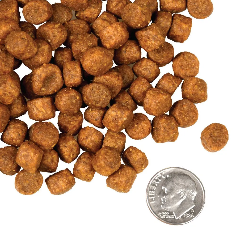 Game Bird Grain Free Dog Dry Food