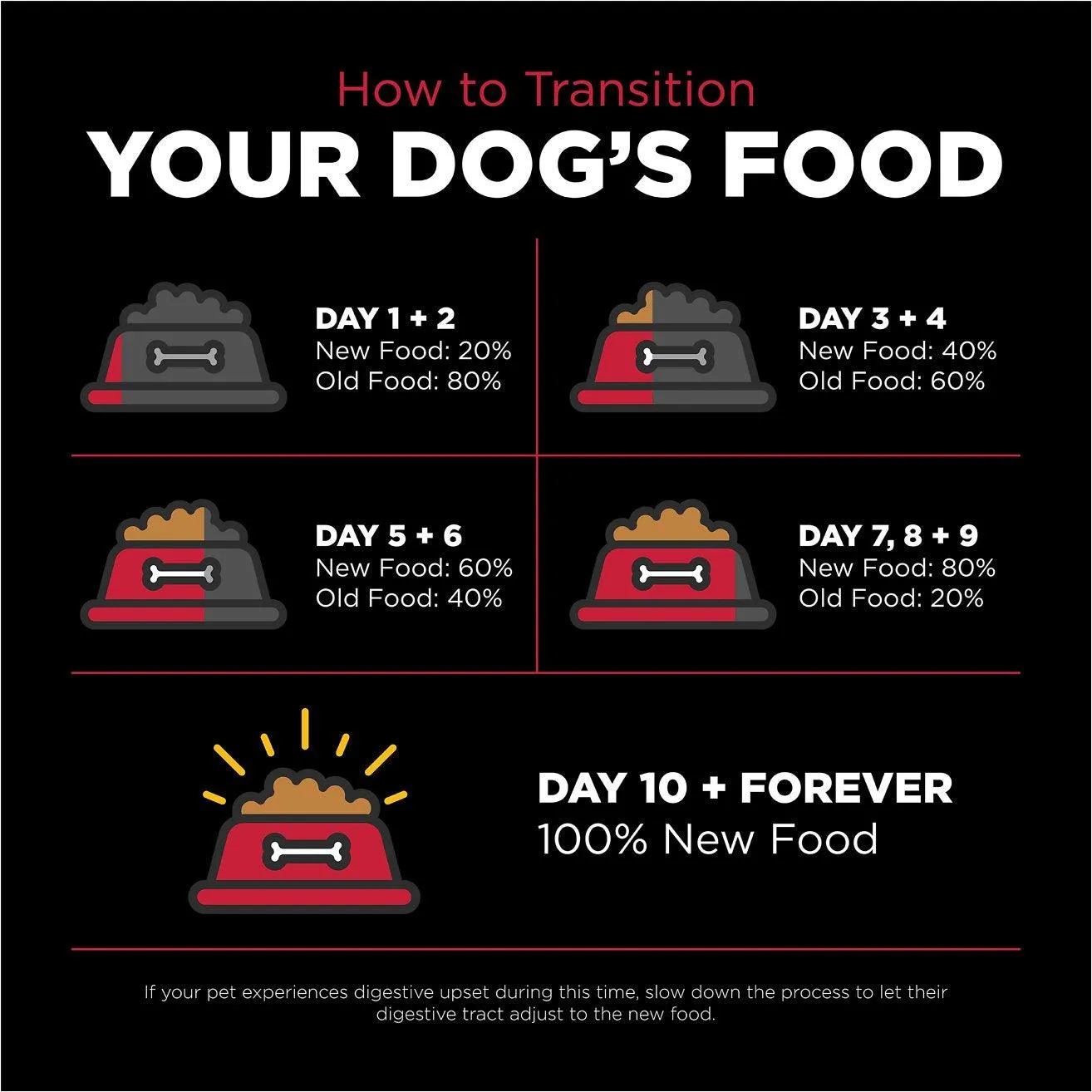 Go! Skin   Coat Care Lamb Recipe With Grains for dogs