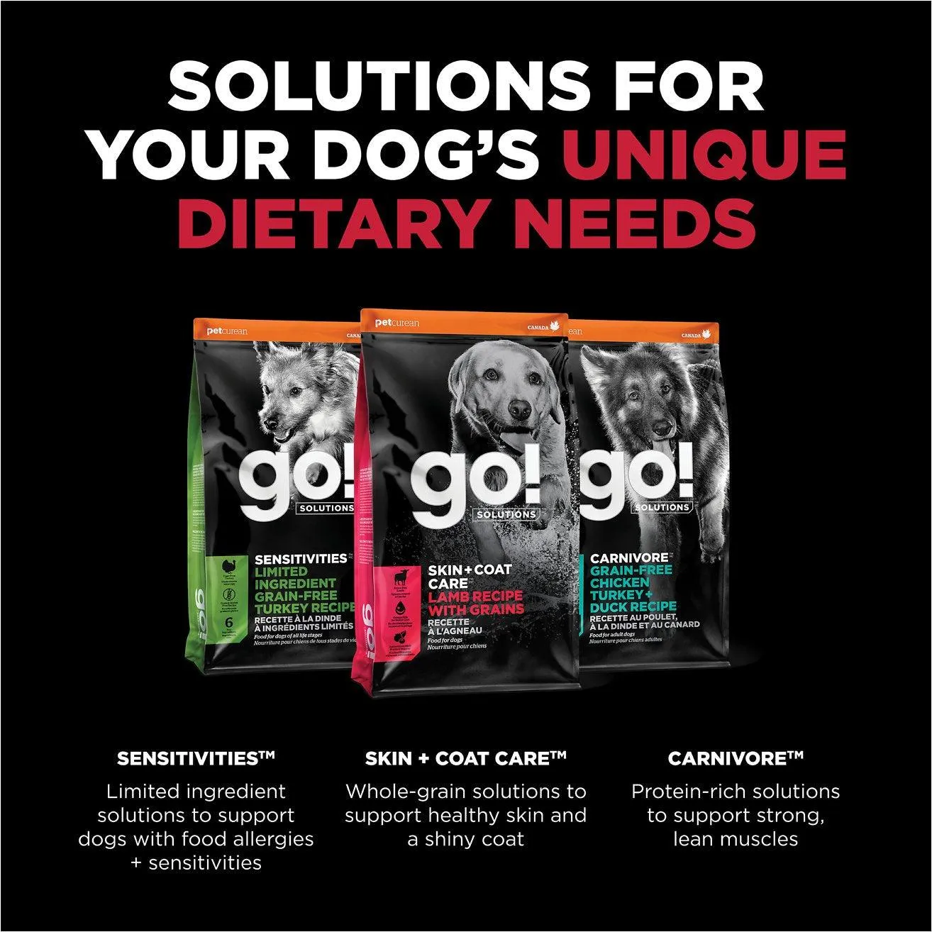 Go! Skin   Coat Care Lamb Recipe With Grains for dogs