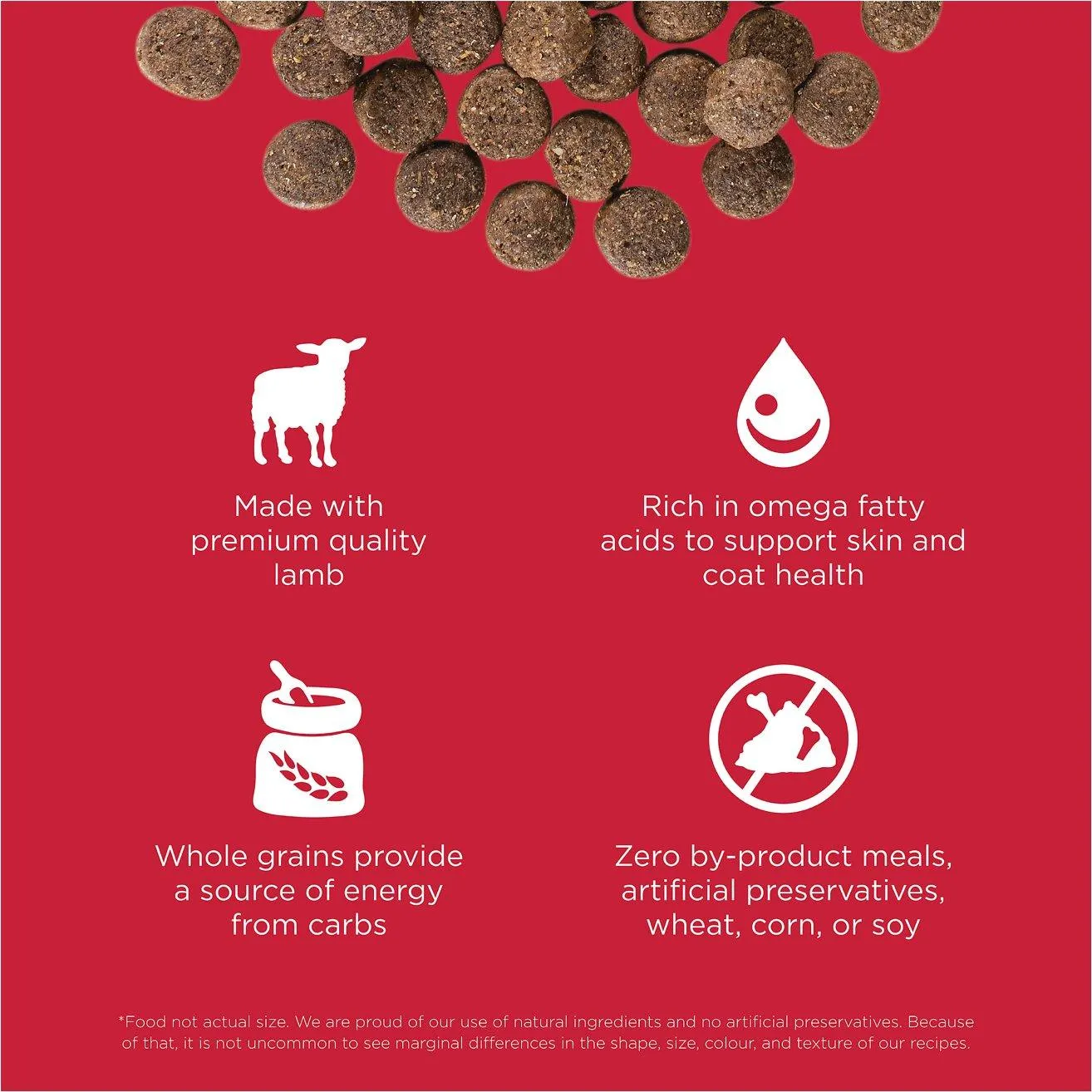 Go! Skin   Coat Care Lamb Recipe With Grains for dogs