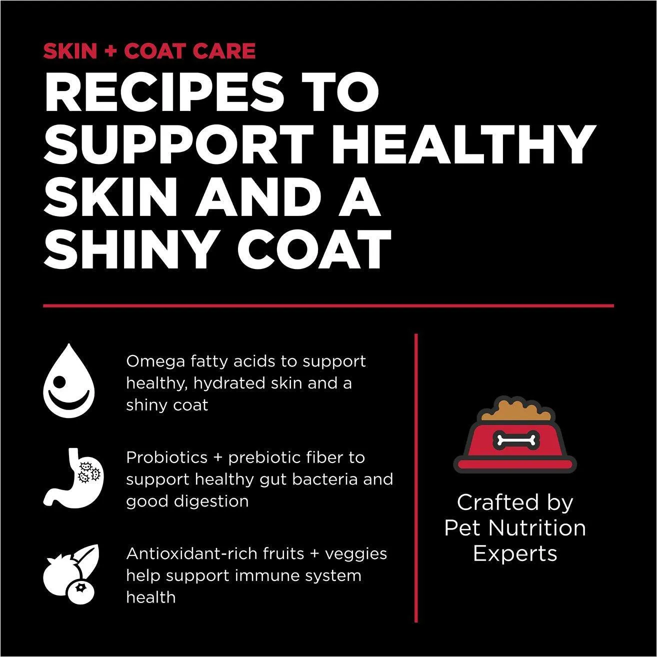 Go! Skin   Coat Care Lamb Recipe With Grains for dogs