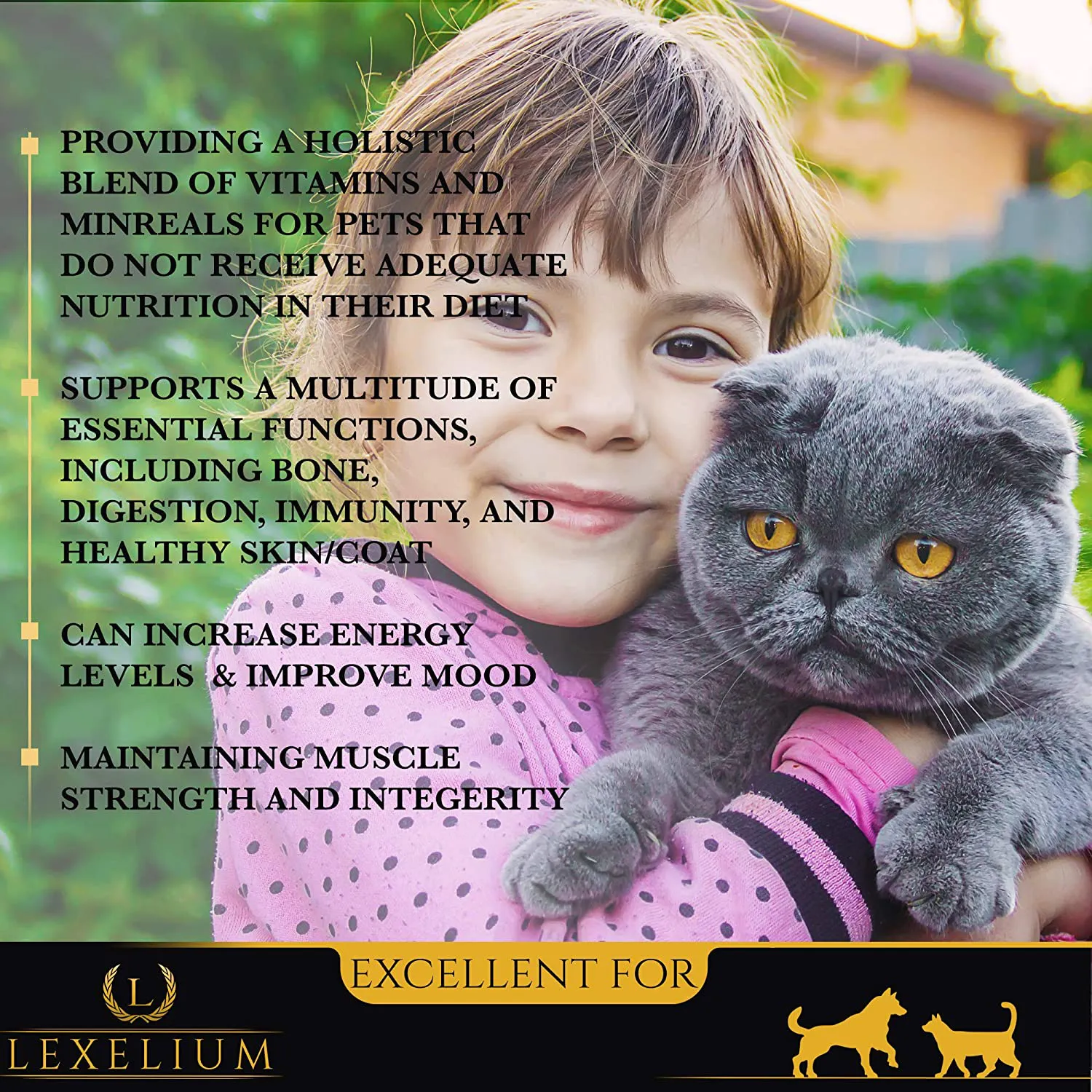 Holistic Multivitamin Supplement for Dogs and Cats | Complete 12-in-1 Plant-Based Vitamins & Minerals for Skin, Coat, Digestion, Bones, and Immunity | Omega-3 Fish Oil, Vitamin Mineral Complex | 200G