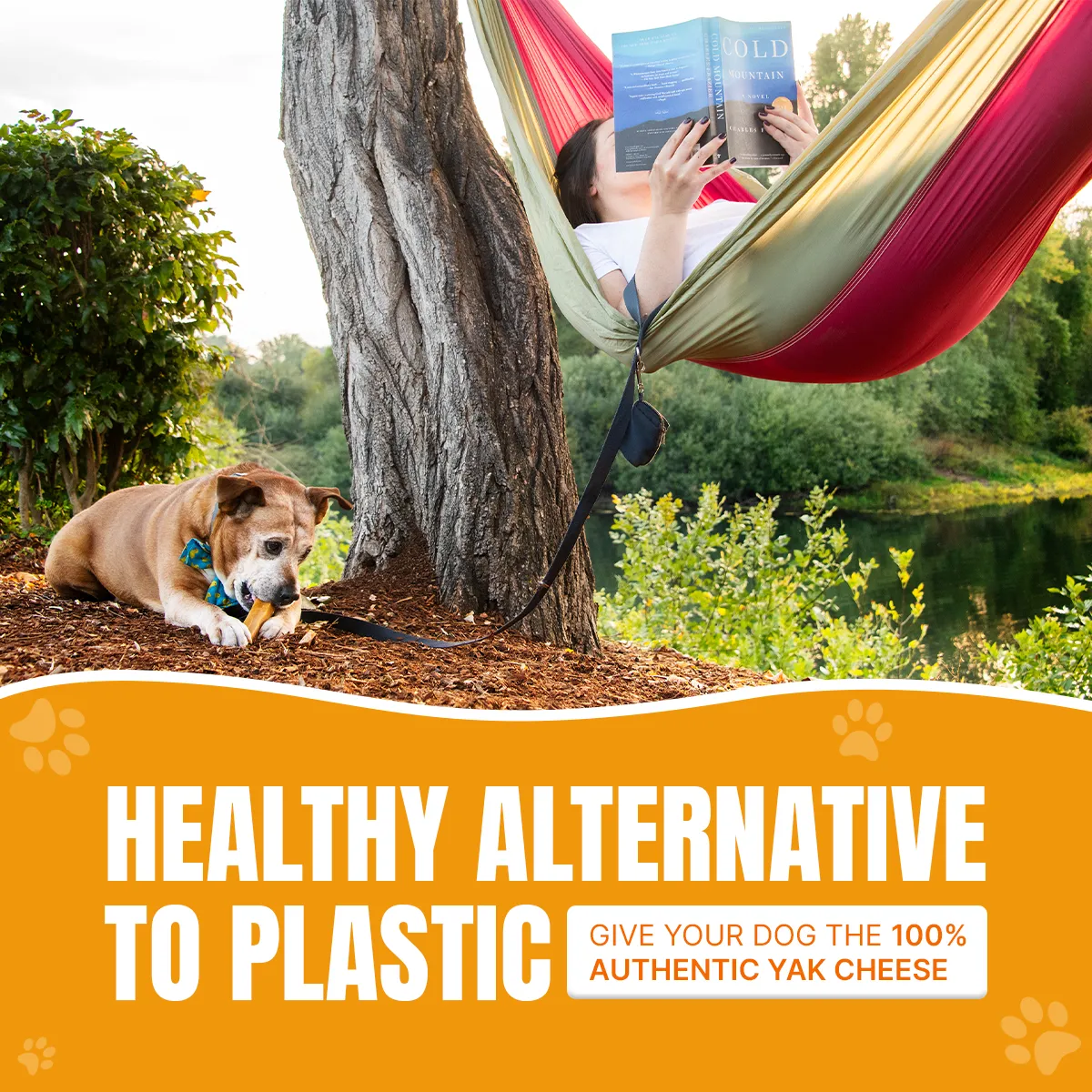 Long Lasting Yak Cheese Chews for X-Large dogs - 3 sticks
