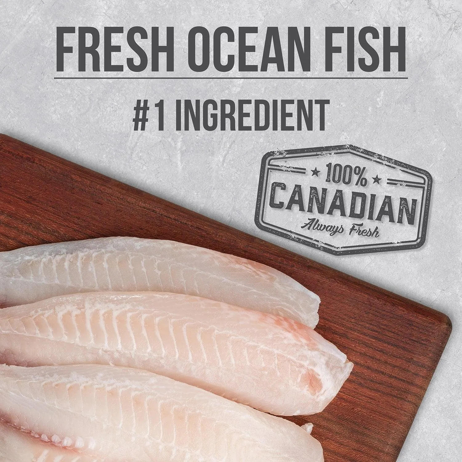 Nutrience Infusion Healthy Adult Dog Ocean Fish