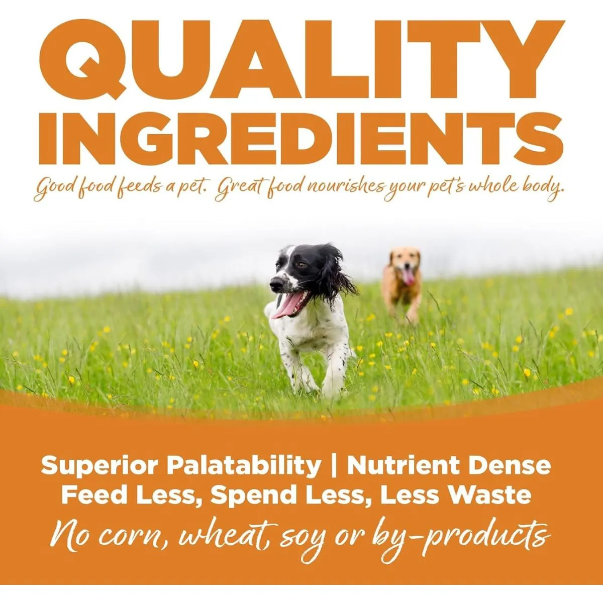 NutriSource Lamb Meal & Rice Healthy Dry Dog Food 12lb
