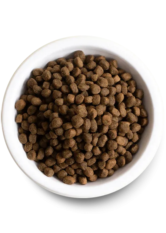 Open Farm - Ancient Grains -  Catch of the Season Whitefish Dog Food