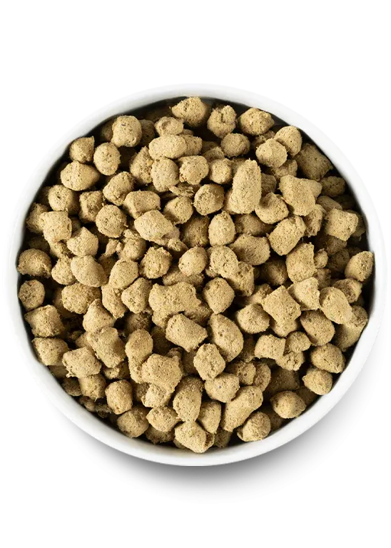 Open Farm - Open Prairie Freeze Dried Morsels Dog Food