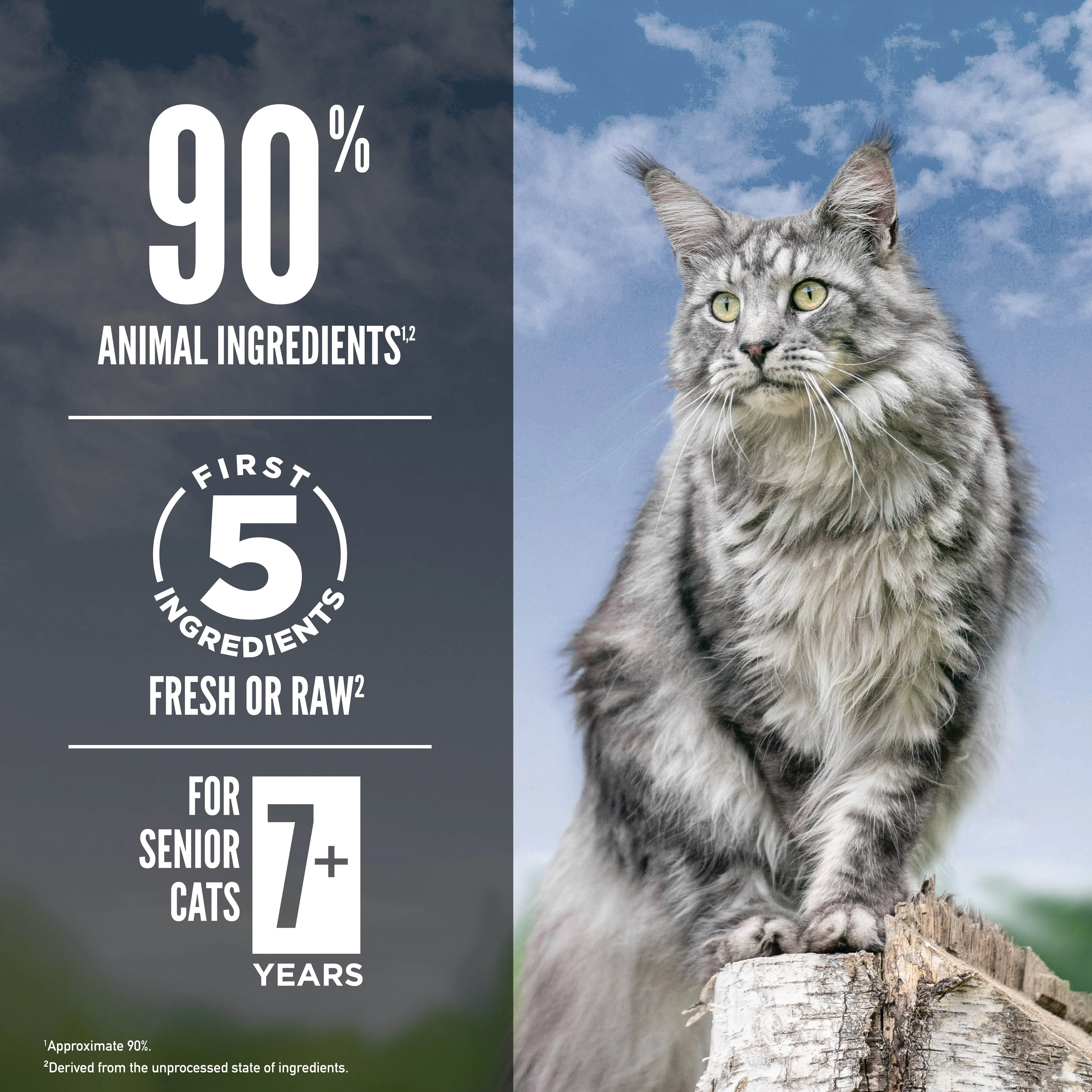 ORIJEN Guardian Senior Biologically Appropriate Dry Cat Food 4.5kg^^^