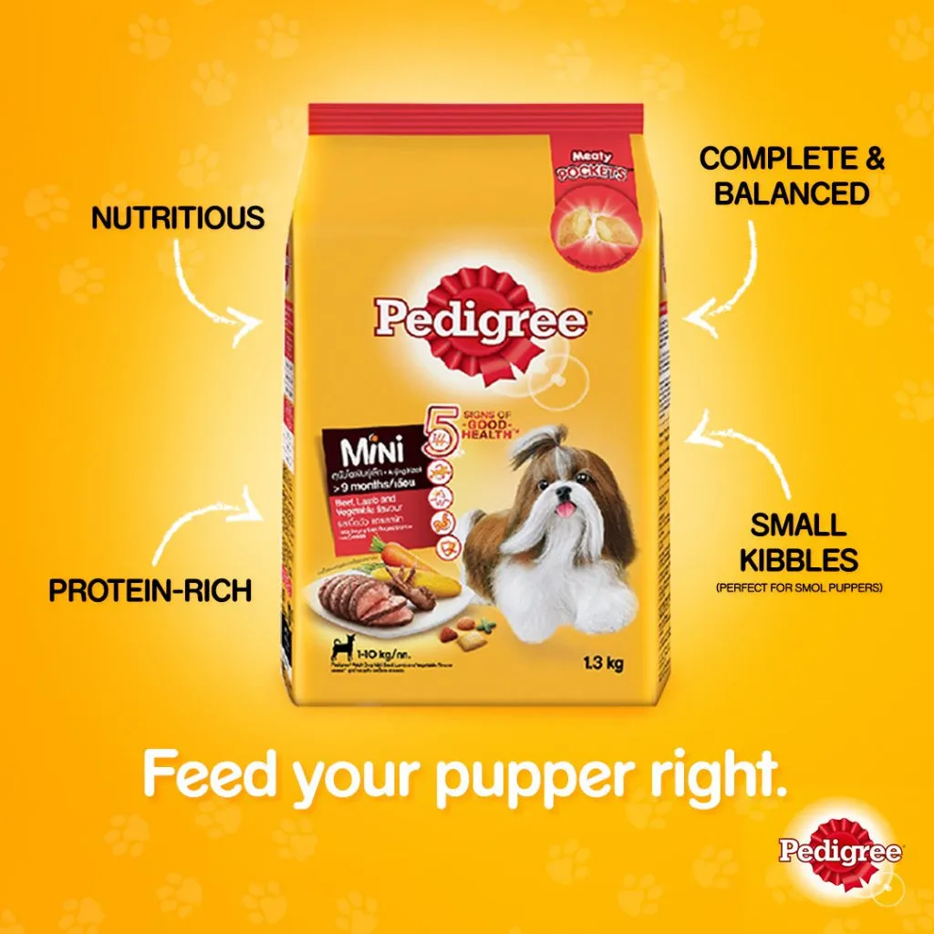 Pedigree Dry Dog Food 400g All Breeds & Flavors for Adult/Puppy NutriDefense