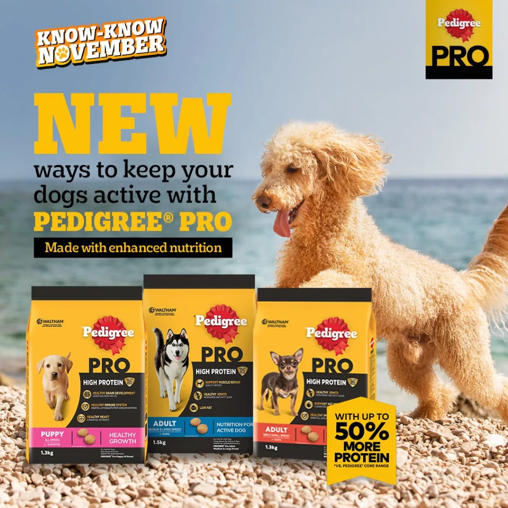 Pedigree Dry Dog Food 400g All Breeds & Flavors for Adult/Puppy NutriDefense