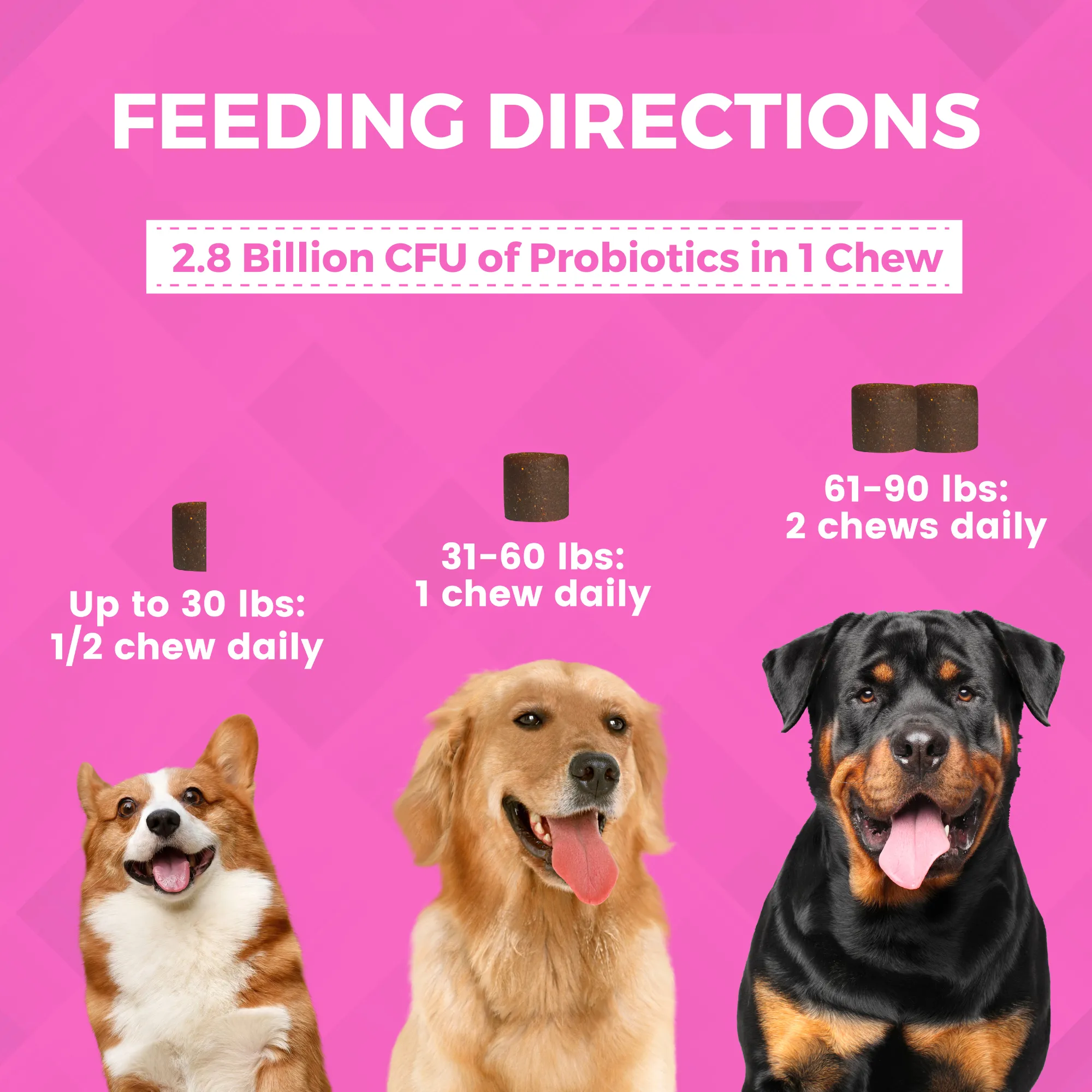 Progility Pre & Probiotics Soft Chew Supplements for Dogs | Supports a Healthy Gut and Digestion