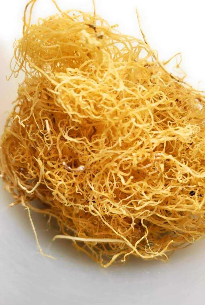 RastaMan Stew Sea Moss 113 Gram - Rich In Nutrition's - Healthy Super Food - Raw Wildcrafted  - Clean Ocean  - Hand Picked & Sun Dried (4 oz)