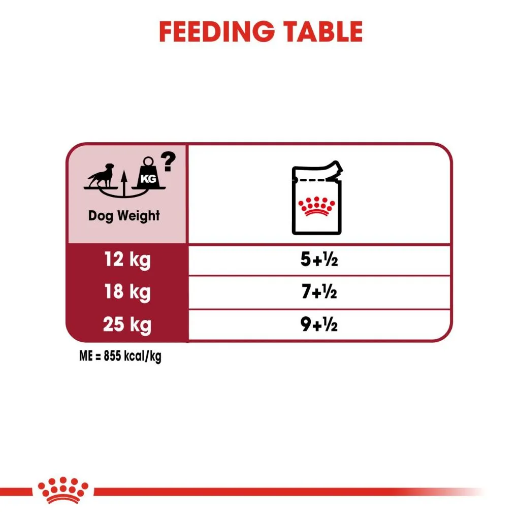 Royal Canin Medium Adult (140g x 10 Pouches) Wet Dog Food - Size Health Nutrition