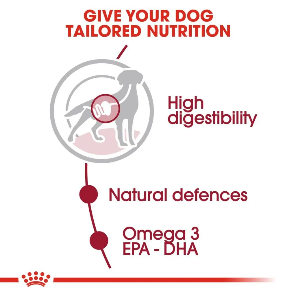 Royal Canin Medium Adult (140g x 10 Pouches) Wet Dog Food - Size Health Nutrition