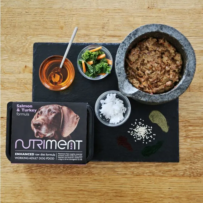 Salmon & Turkey Formula