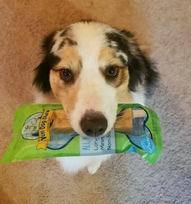 Yeti Dog Chew Large, Single