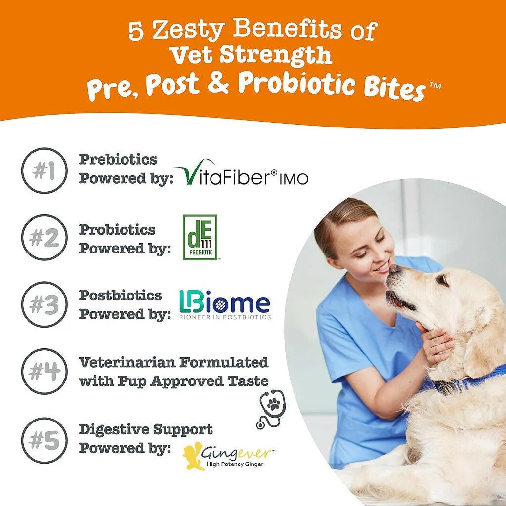 Zesty Paws Vet Strength Pre, Pro & Postbiotics Bites Rotisserie Chicken Flavored Chews for Dogs (90 ct)