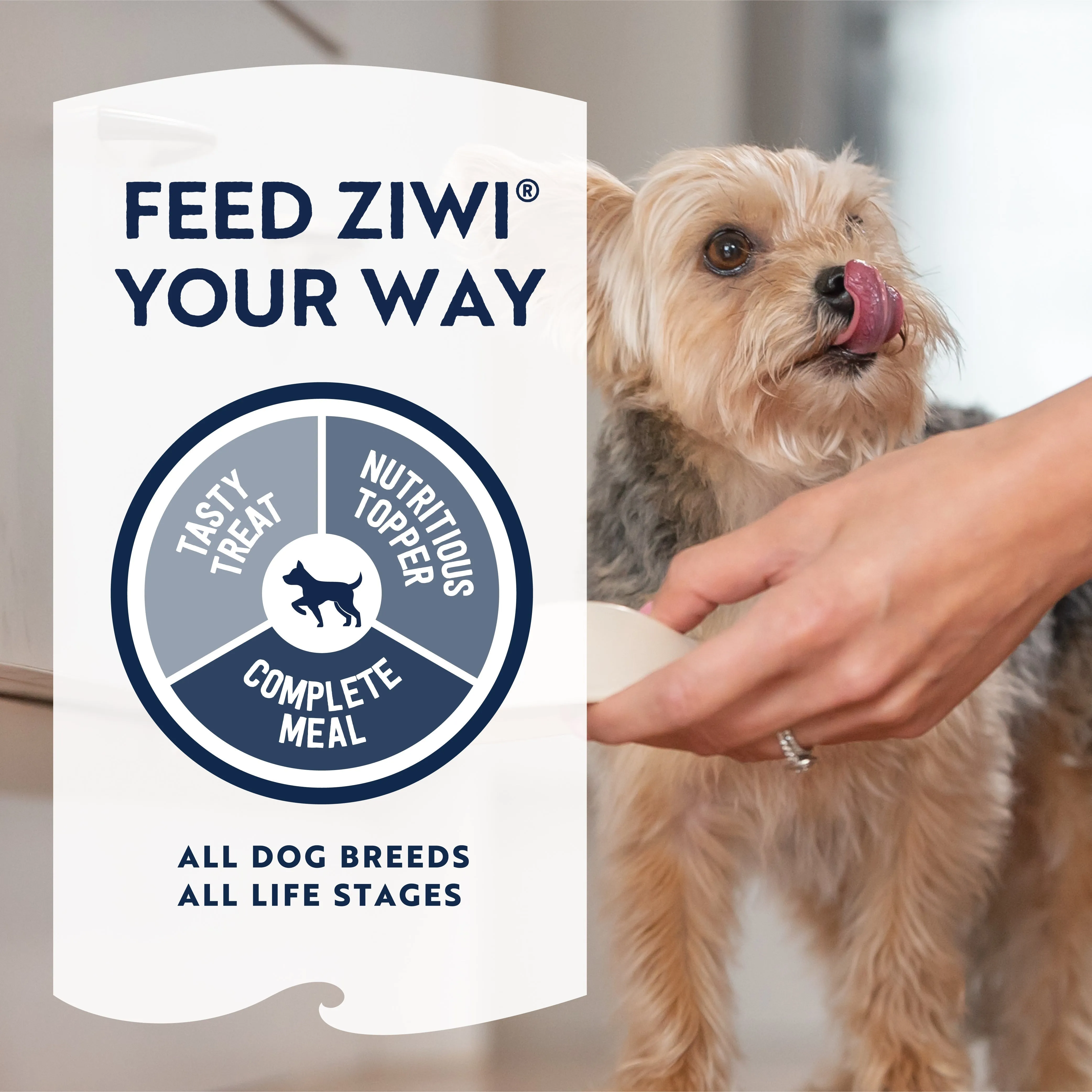 ZIWI Peak Air Dried Mackerel and Lamb Recipe Dog Food 1kg